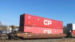 CP 527019